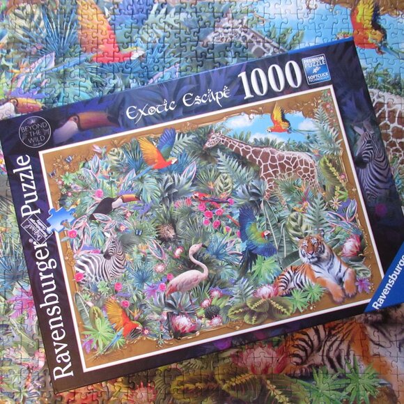 Exotic Escape Puzzle - Picture 16 of 16